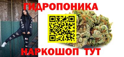 крисы Ангарск